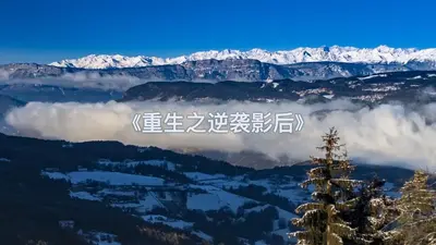 重生之逆袭影后